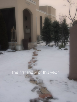 2017初雪.jpg